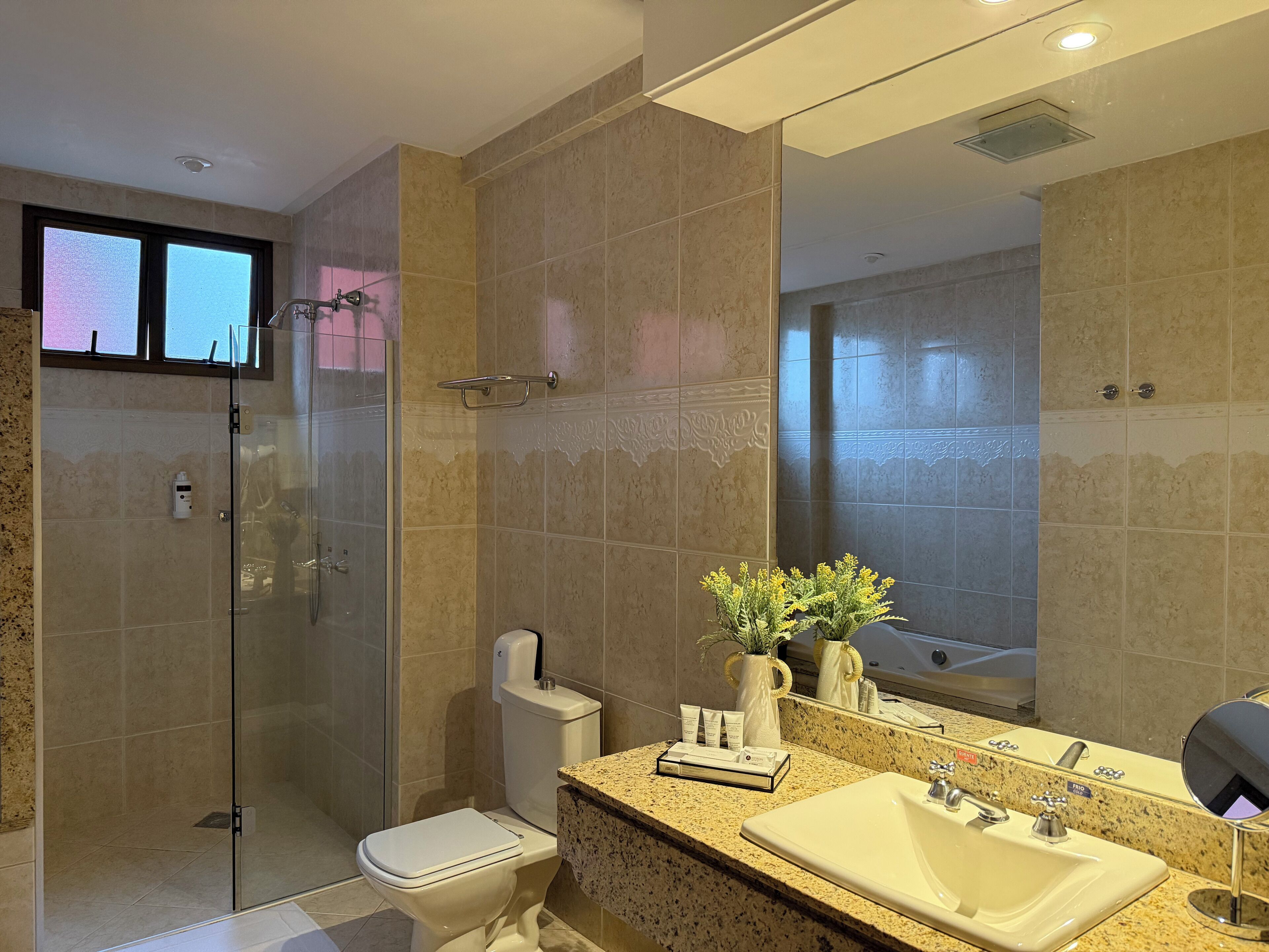 A modern bathroom with a glass shower enclosure, a toilet, a sink with a vanity, and a large mirror.