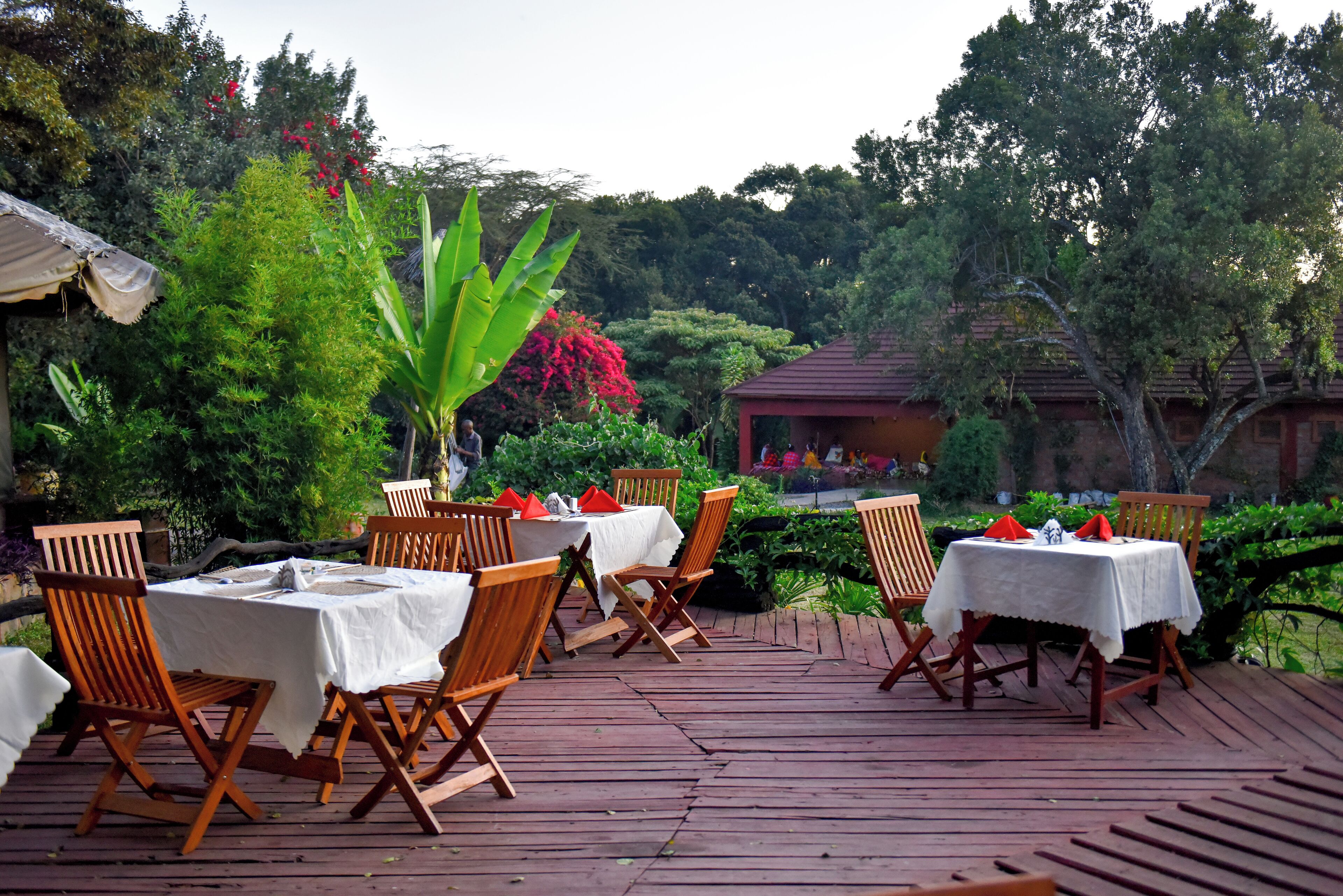 تقديم الإفطار والغداء والعشاء