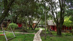 A stone pathway leading through a lush garden with trees and a small red building in the background. - Mara Chui Resort (Maasai Mara)