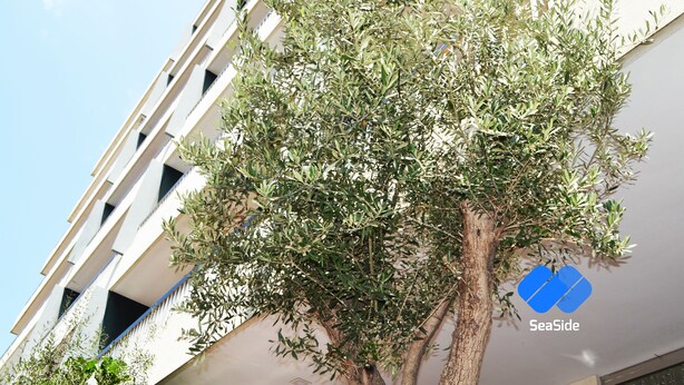 Exterior - Seaside Apartments (Beirut)