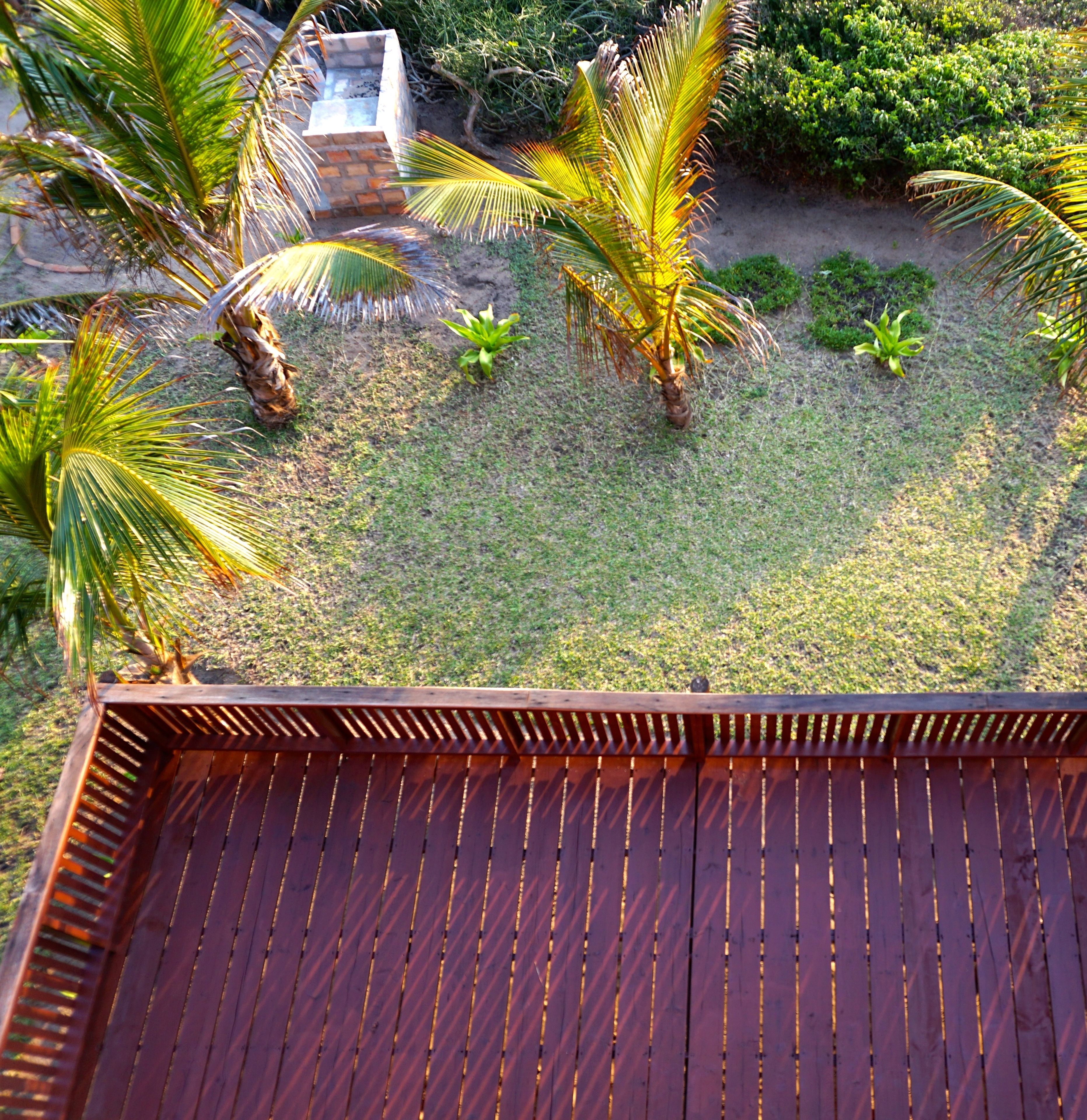 Eine Holzterrasse mit Blick auf einen angelegten Garten mit Palmen und Sträuchern.