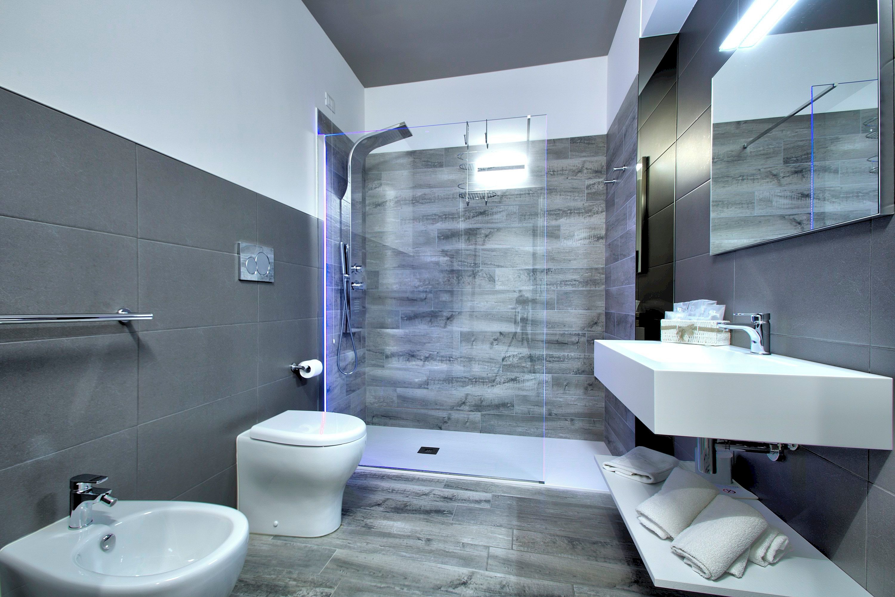A modern bathroom with a shower, toilet, bidet, and sink.
