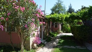 A pathway leading to a building with a pink exterior, surrounded by greenery and flowering plants.
