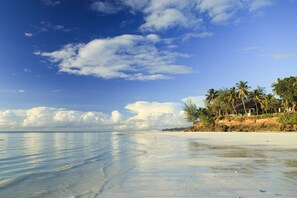 海灘、白沙、躺椅、太陽傘