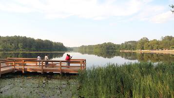 A wooden pier extending into a calm lake surrounded by dense greenery and trees.