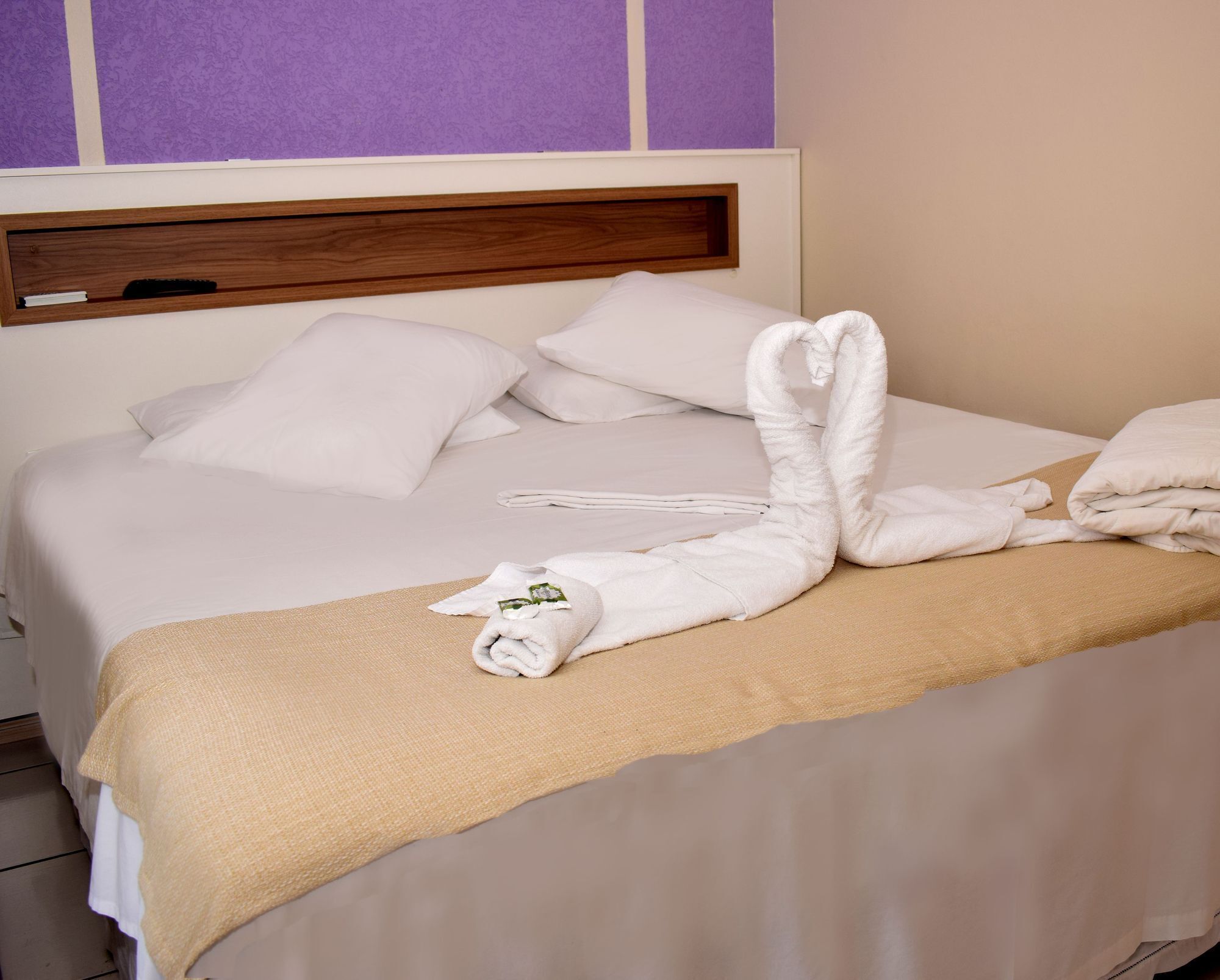 hypo-allergenic bedding, minibar, free wifi, bed sheets