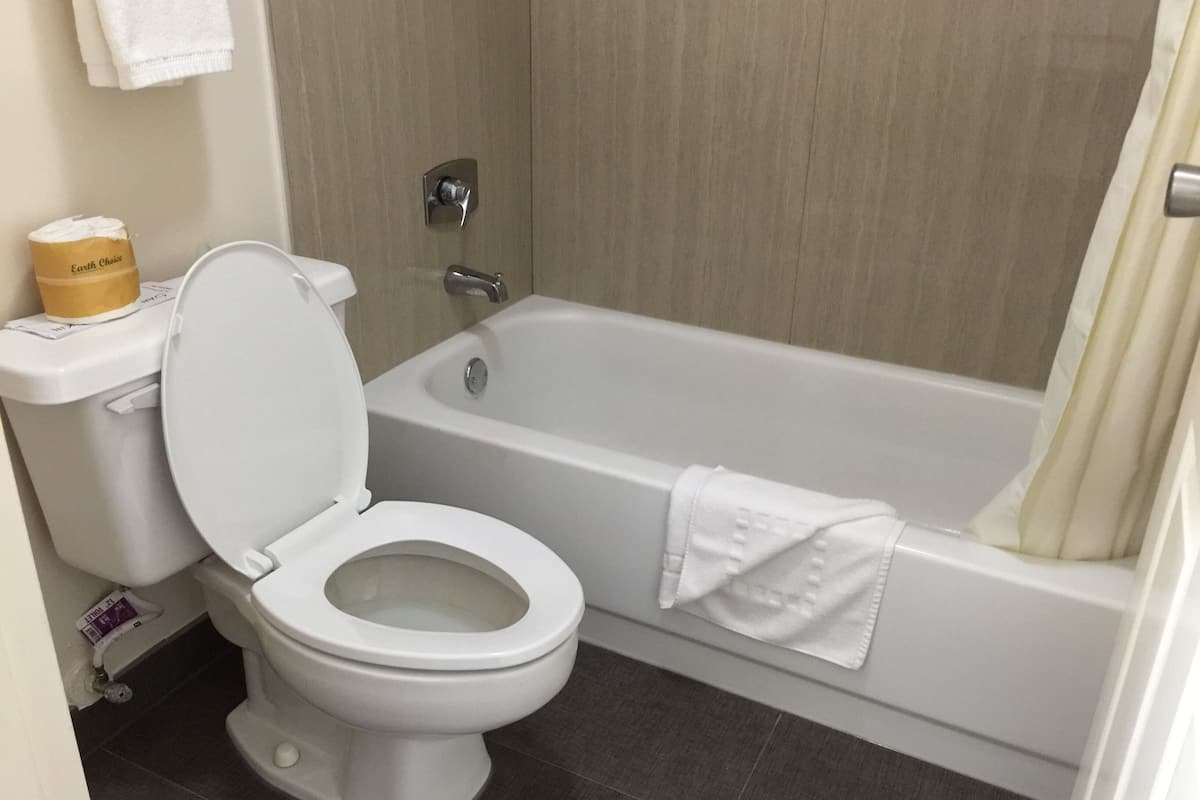 Free toiletries, hair dryer, towels