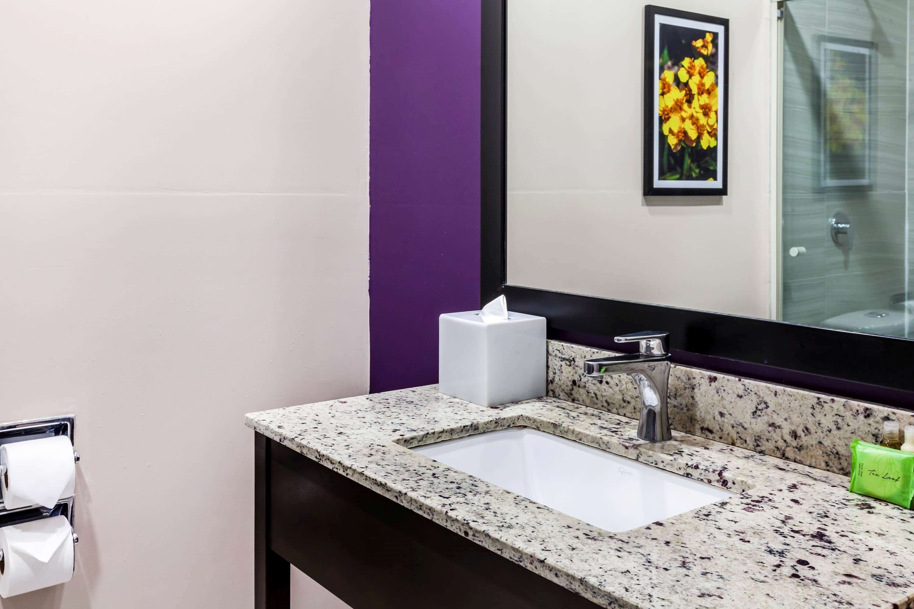 room, 1 king bed, non smoking | bathroom | shower, free toiletries, hair dryer, towels