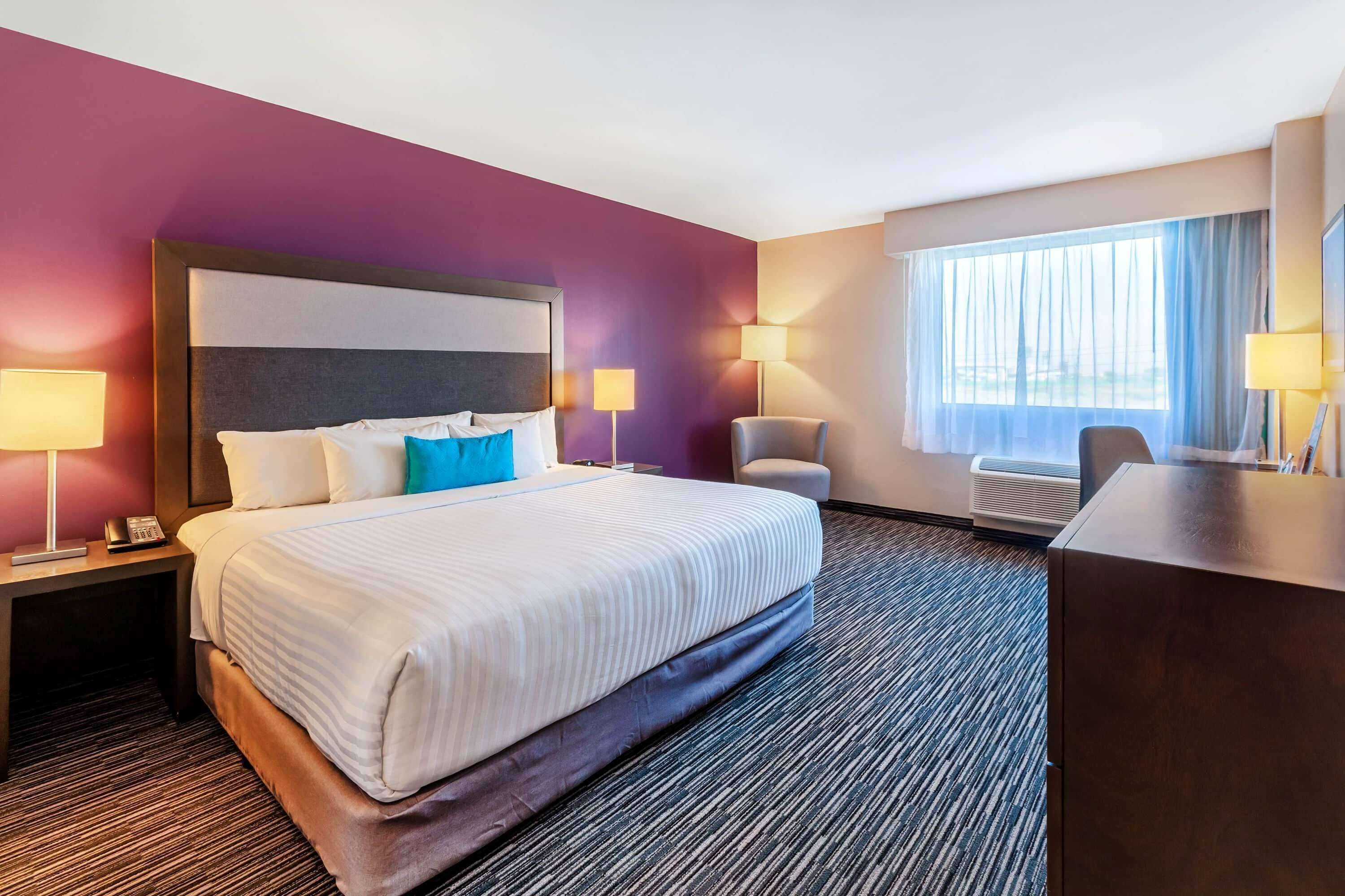 standard room, 1 king bed, non smoking | 1 bedroom, egyptian cotton sheets, premium bedding, down duvets