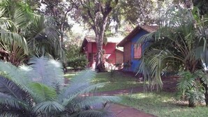 Um caminho leva a um edifício vermelho e azul, rodeado por vegetação exuberante.