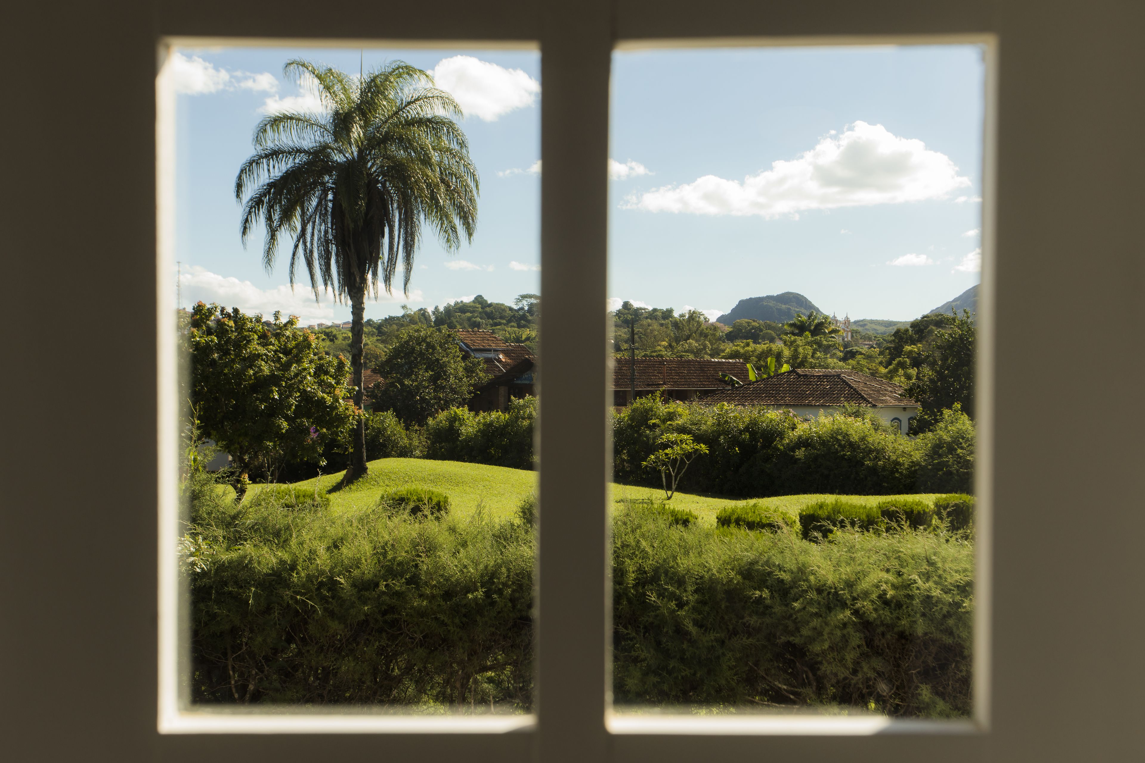 A view through a window of a lush landscape with a prominent palm tree, rolling hills, and a distant mountain.
