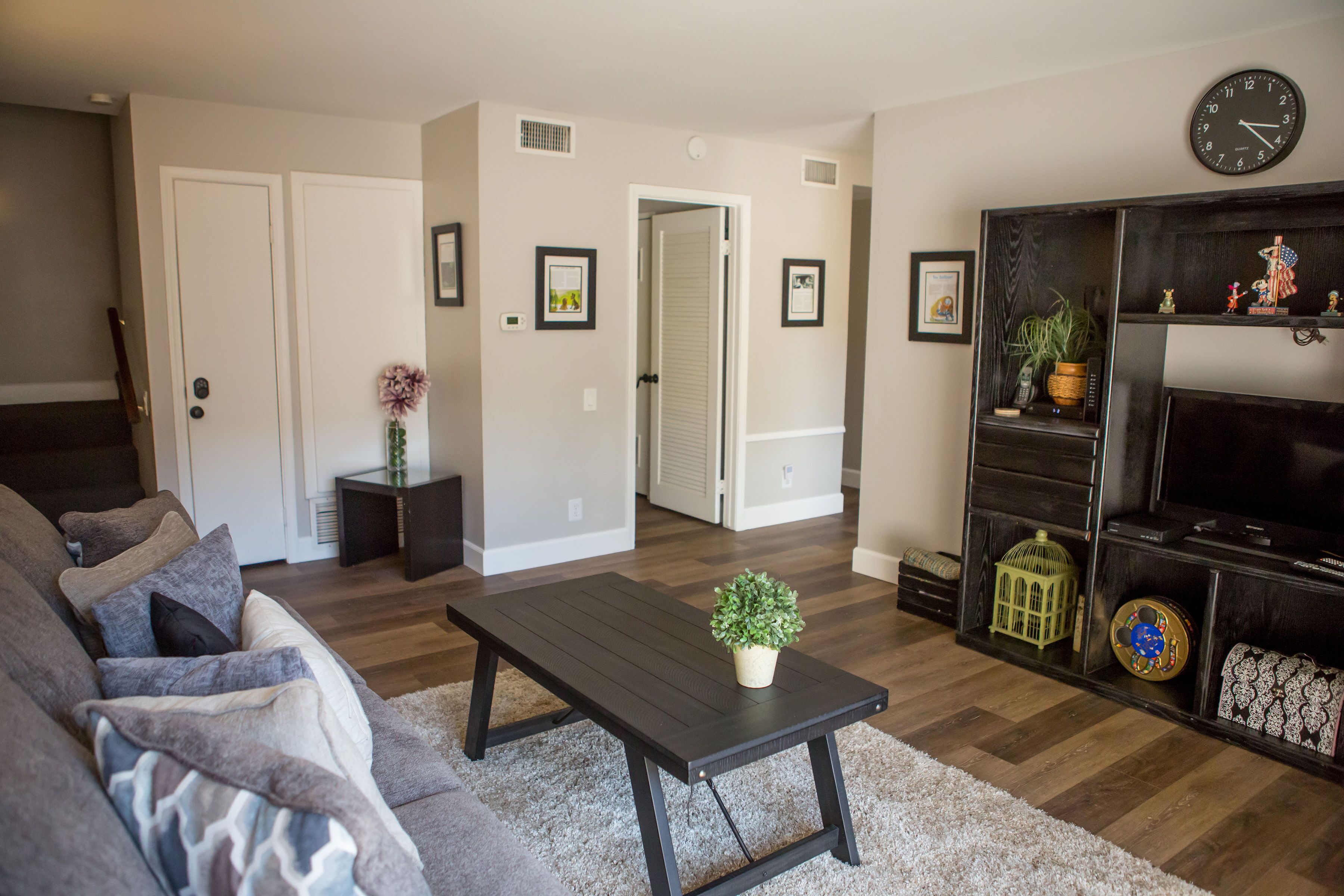 TV, fireplace, DVD player, books