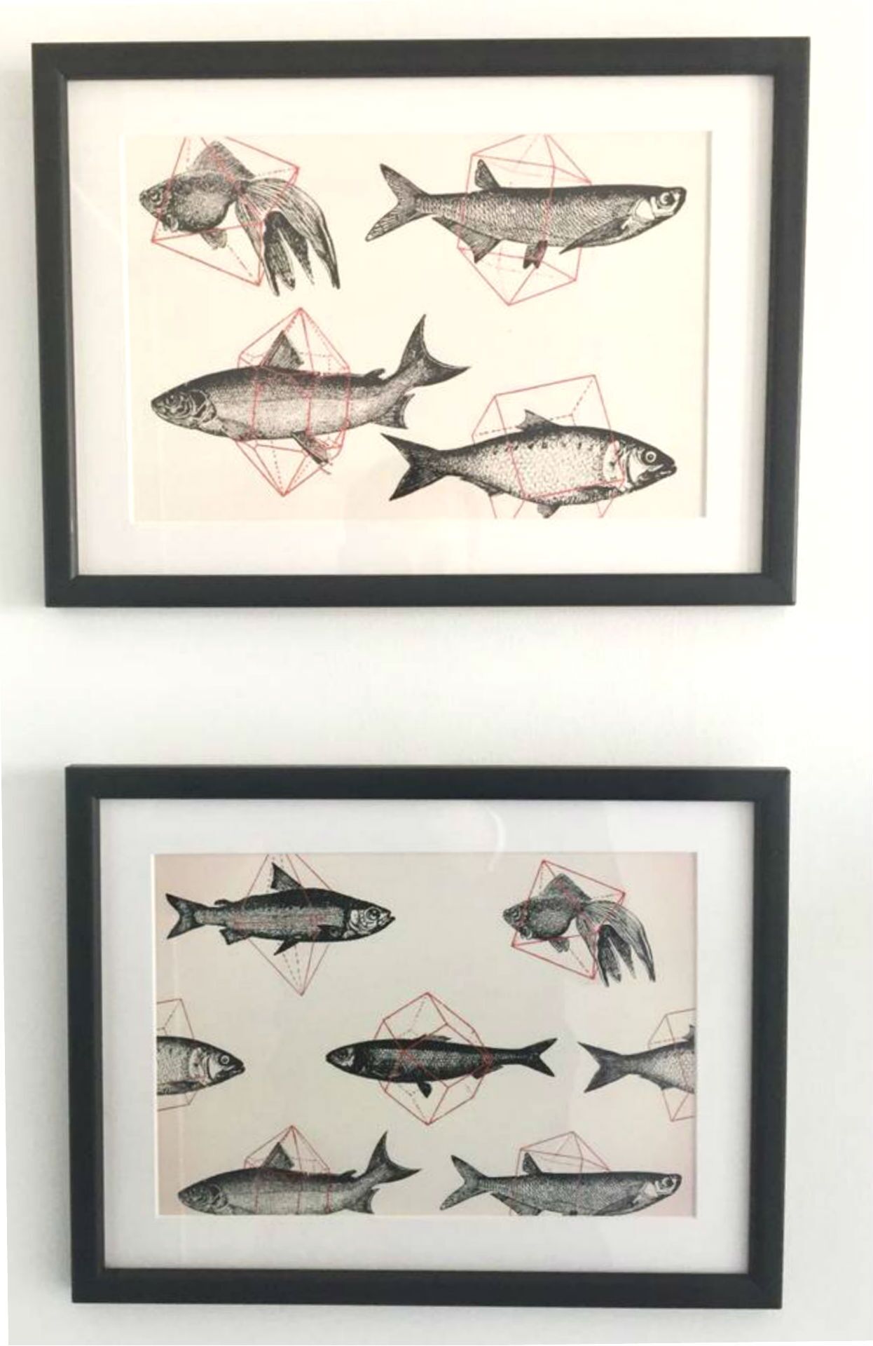 Two framed artworks featuring fish illustrations with geometric overlays.