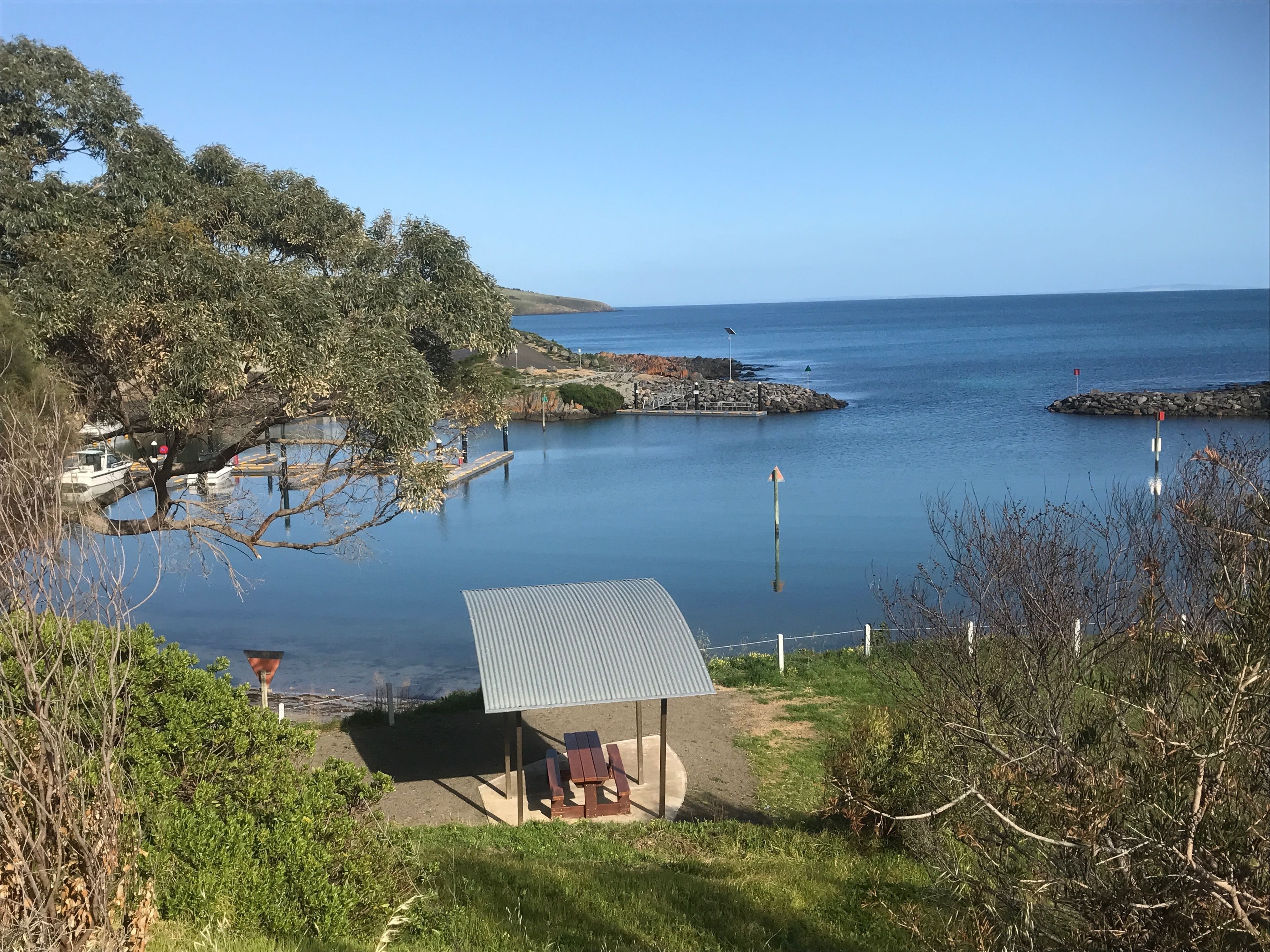 A lakeside view with a small dock, a covered picnic area, and a clear sky.