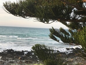 Vista desde la propiedad