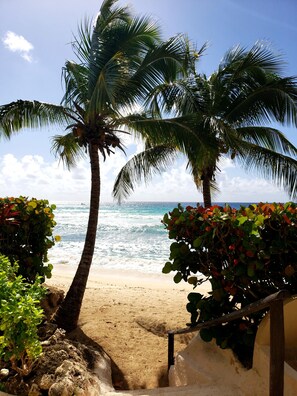 Property grounds - Beachfront Apartment in St. Lawrence Gap - Close To Your Every Need (Dover)