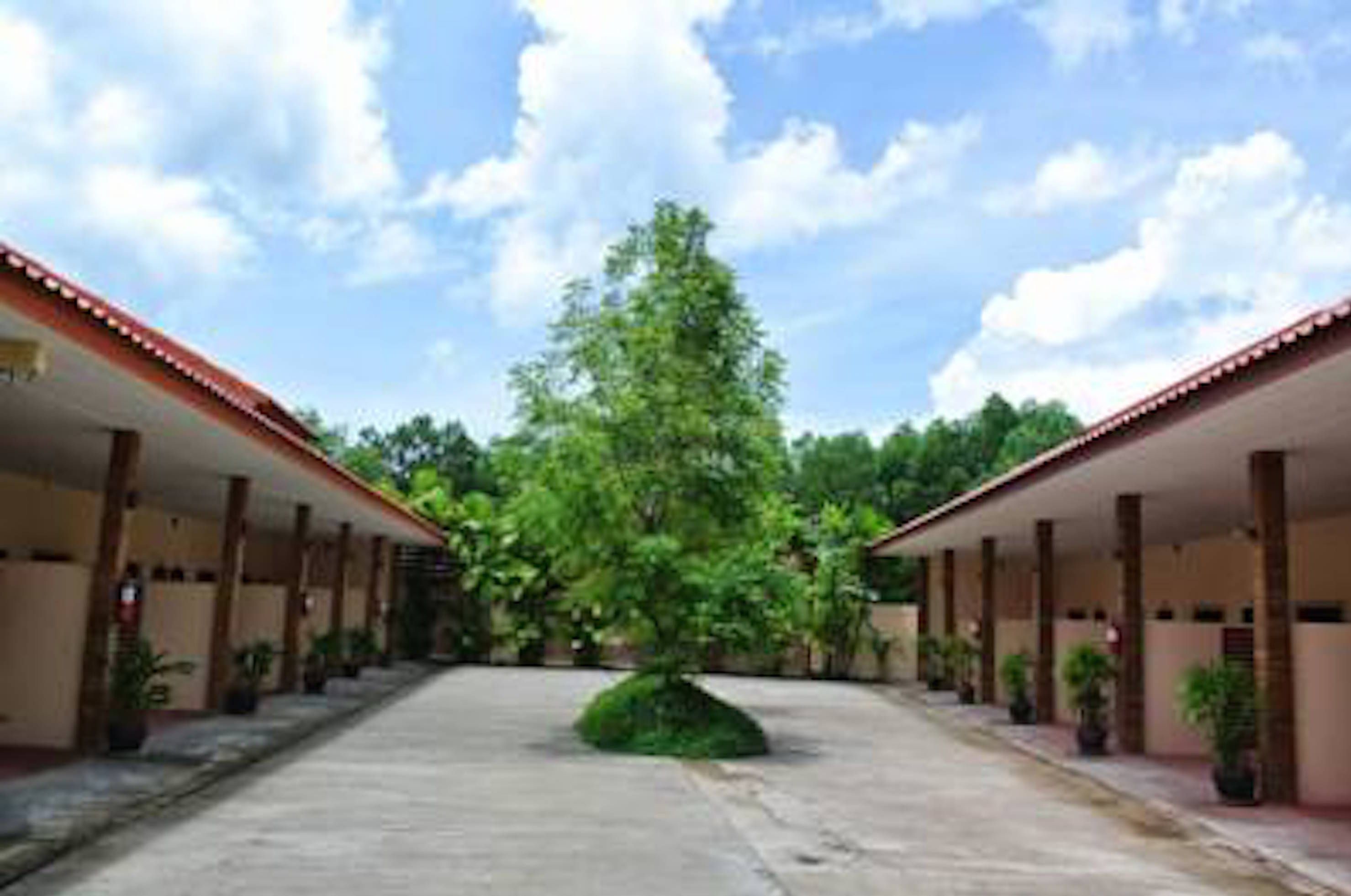 Khuôn viên nơi lưu trú