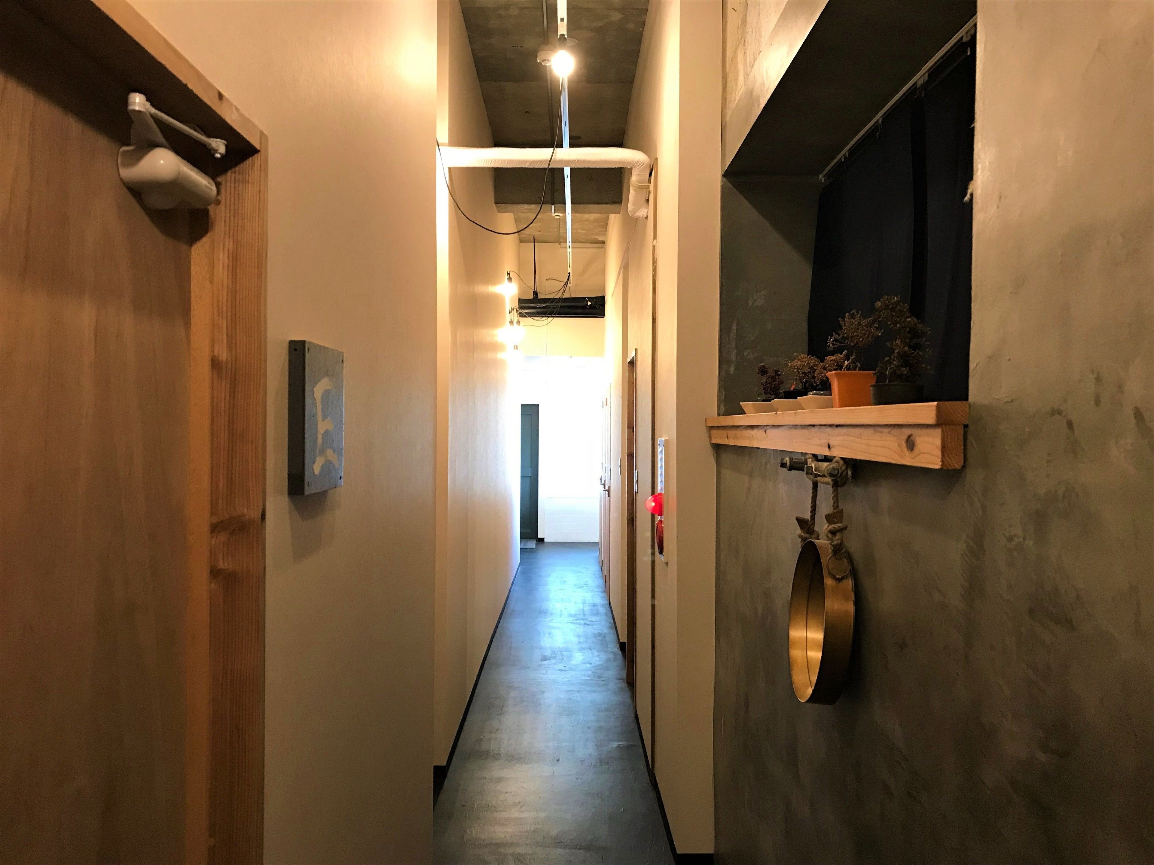 A narrow hallway with a concrete floor, wooden door on the left, and a shelf with plants on the right.