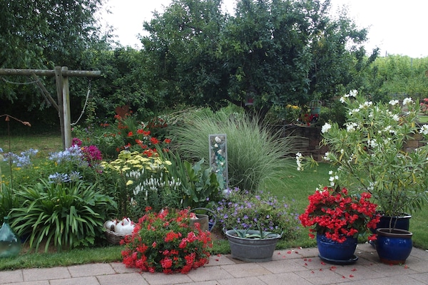 Jardines del alojamiento