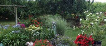La maison au calme - Bed and Breakfast i Chatenois - centrale Alsace