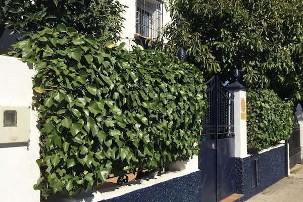 Detall de l'exterior