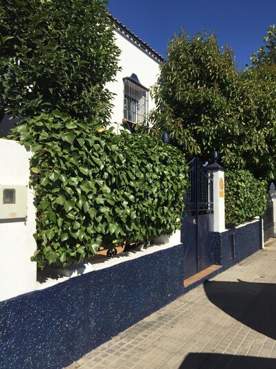 Casa Albéitar, easy Parking, Wifi, Ronda