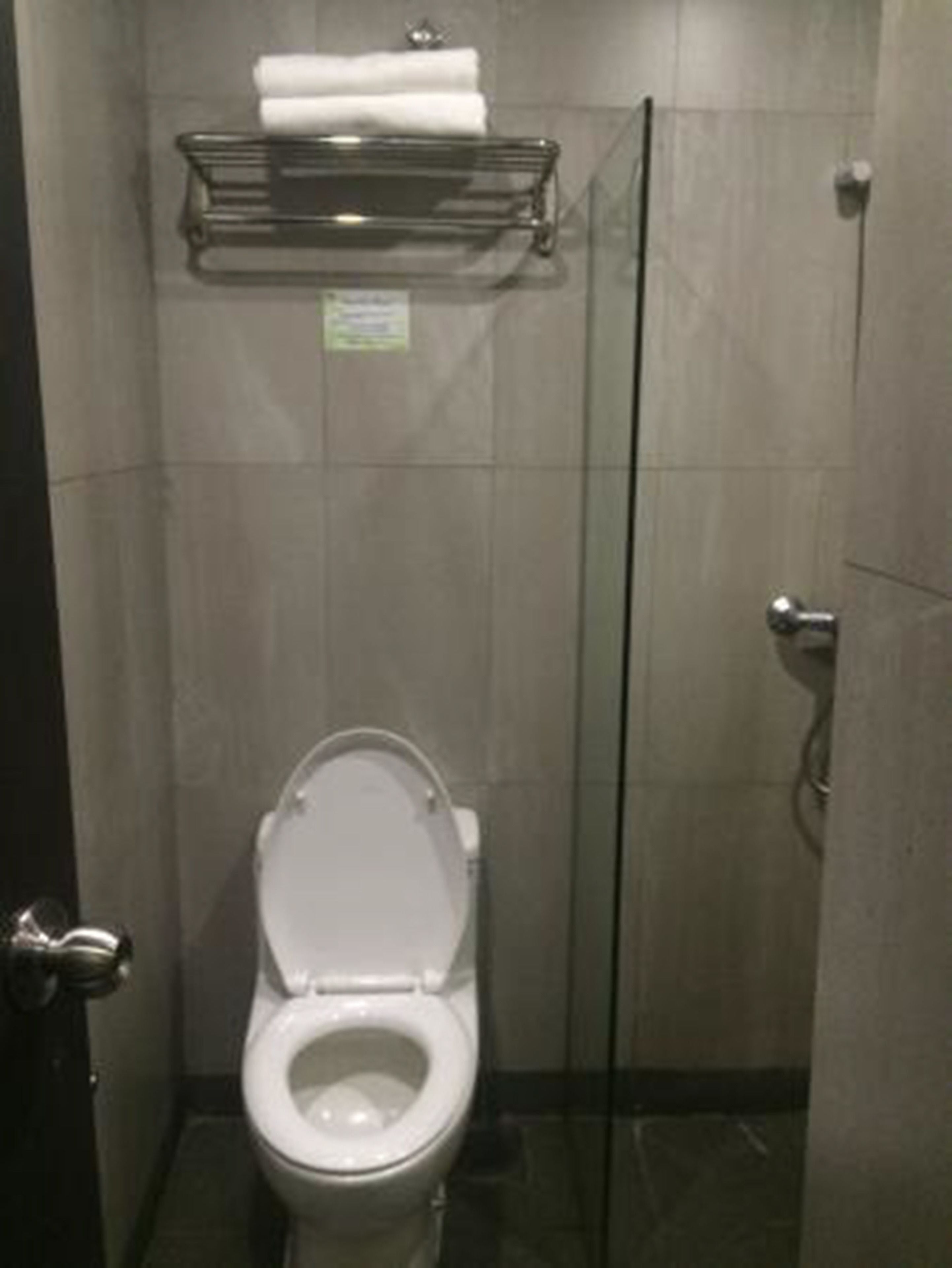 A small, modern bathroom with a toilet, a glass shower enclosure, and a metal towel rack.