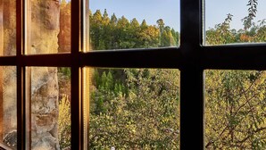 A window with a view of a forested area and a stone wall.