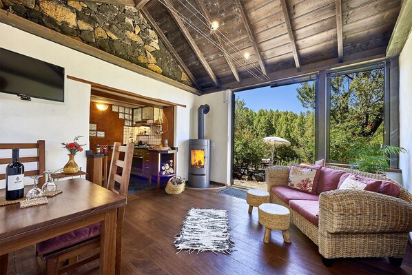 TV, fireplace, books, stereo