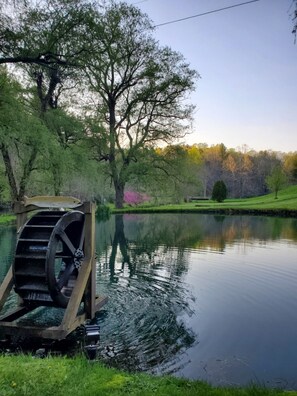 Overnattingsstedets uteområder