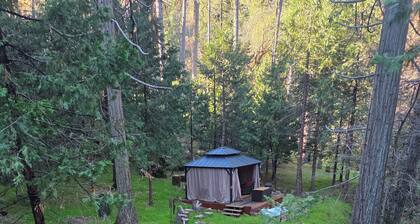 Cabin in the Woods Near Yosemite