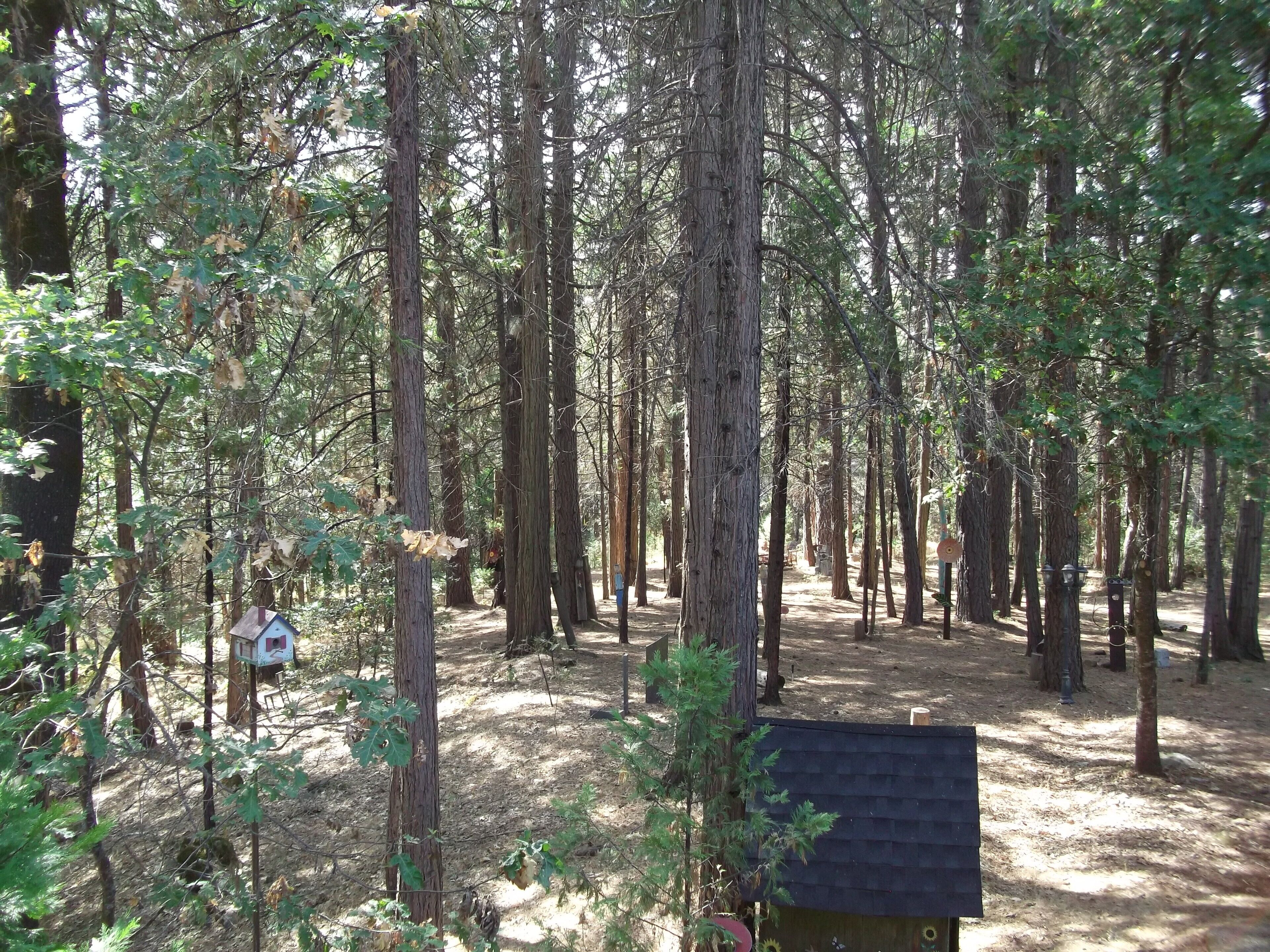 Terrain de l’hébergement 