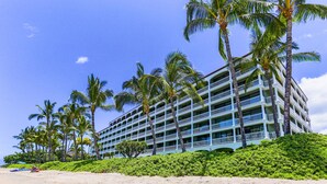 Un hôtel à plusieurs étages doté de balcons, entouré de palmiers et situé près d’une plage.