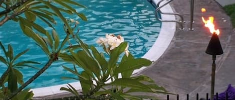 Una piscina al aire libre, sombrillas