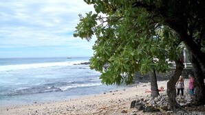 Une plage avec un rivage rocheux, un arbre qui offre de l’ombre et quelques personnes à l’arrière-plan.