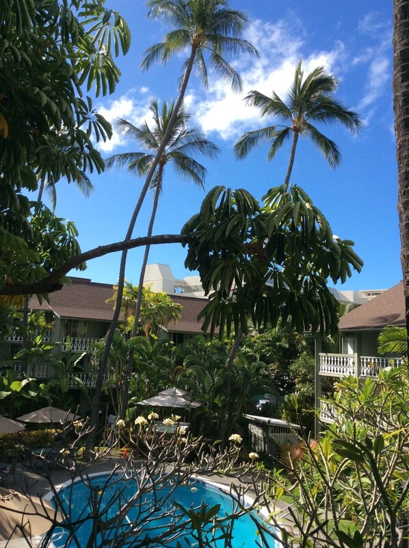 Outdoor pool, pool umbrellas - Beach Condo, Lovely, Clean, Comfy Heart of Kona! Poolside, Hot Tub, Beach Stuff (Kailua-Kona)