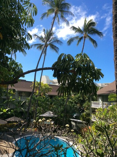 Beach Condo, Lovely, Clean, Comfy Heart of Kona! Poolside, Hot Tub, Beach Stuff