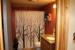 Combined shower/bathtub, hair dryer, towels, soap - The Ole Bear Rustic Mountain Cabin (Tellico Plains)