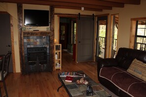 スマートテレビ、暖炉、書庫、ビデオライブラリ