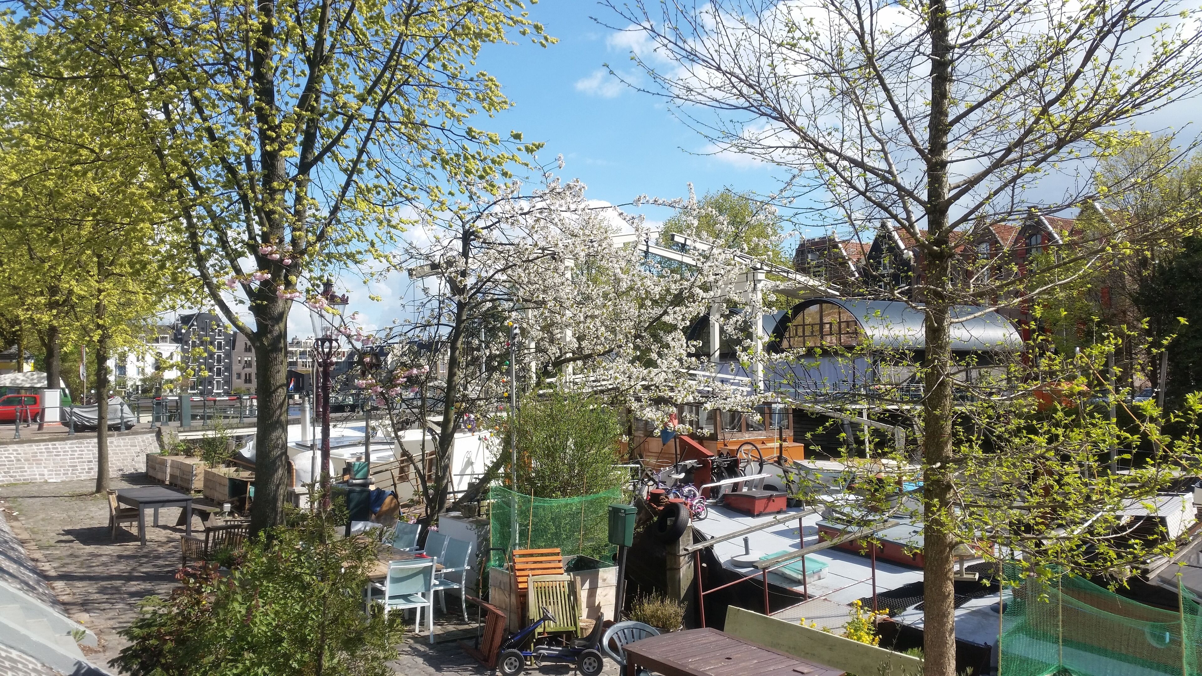 A courtyard with a variety of seating arrangements, including tables and chairs, surrounded by trees and a small garden area.