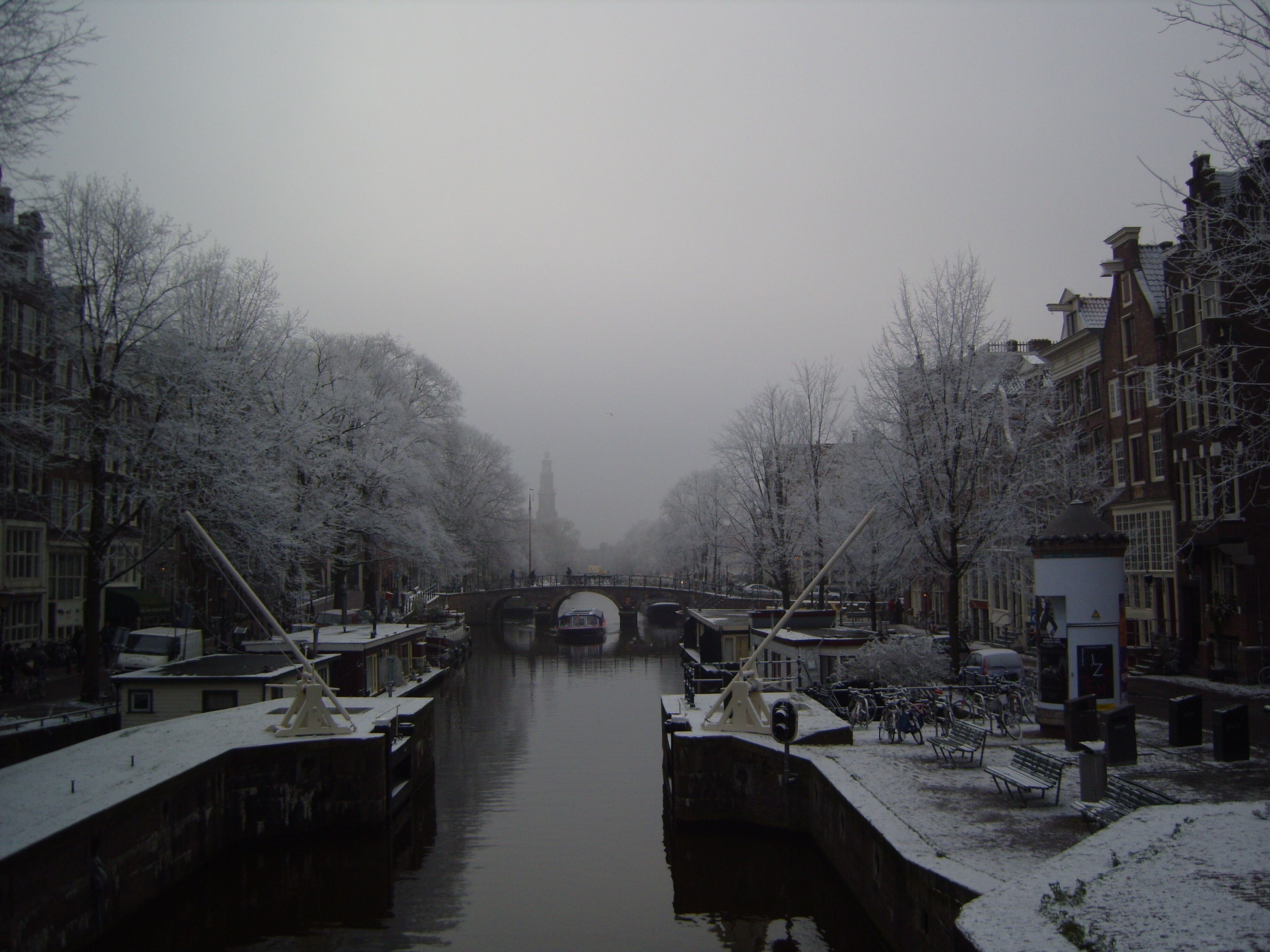 Un canal flanqueado por árboles y edificios cubiertos de nieve.