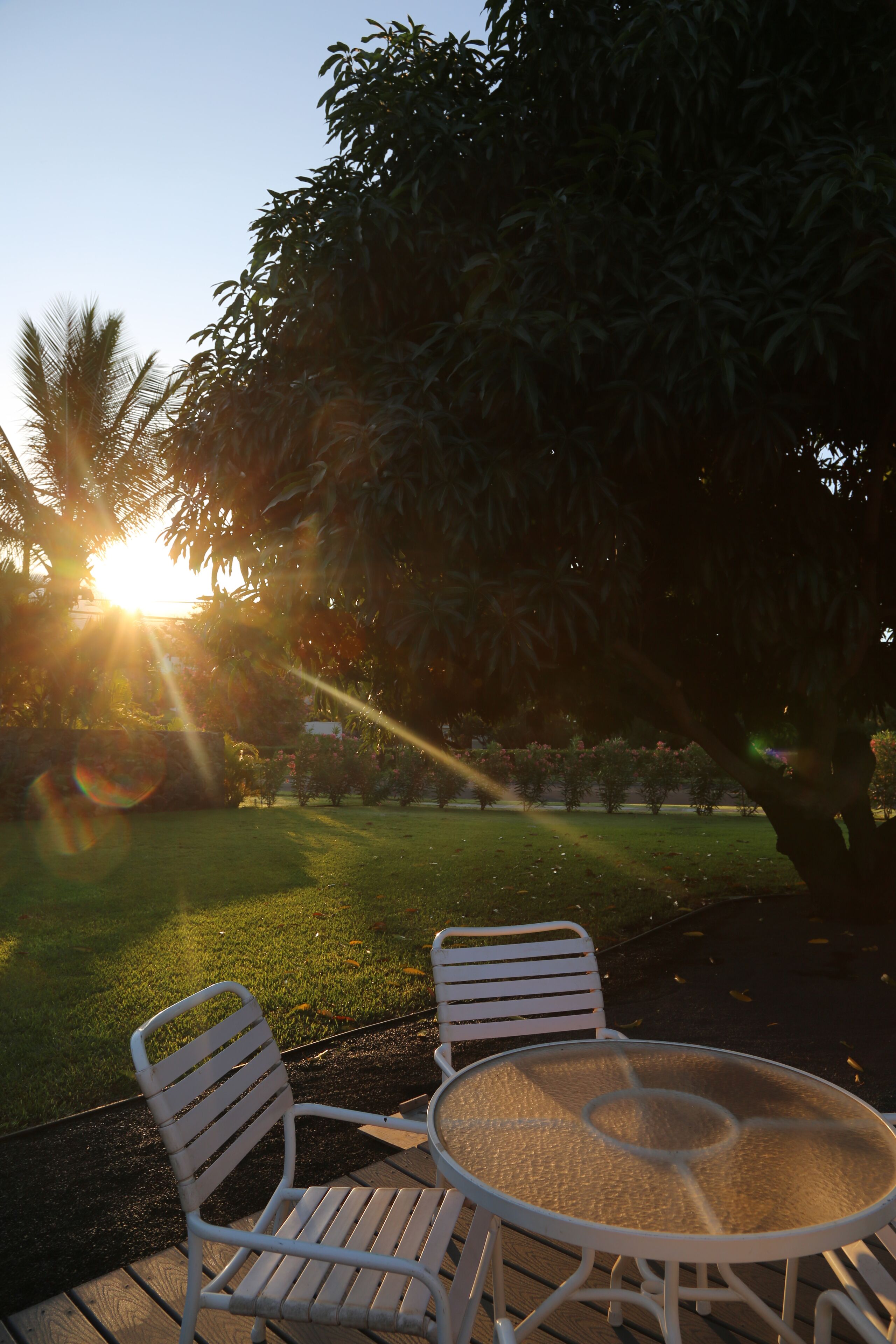 An outdoor seating area with a table and two chairs, surrounded by trees and a grassy lawn.