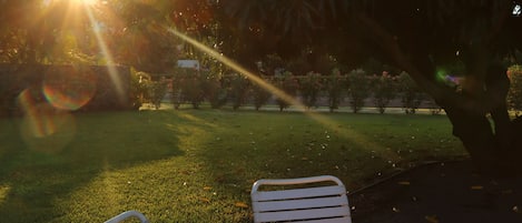 An outdoor seating area with a table and two chairs, surrounded by trees and a grassy lawn.