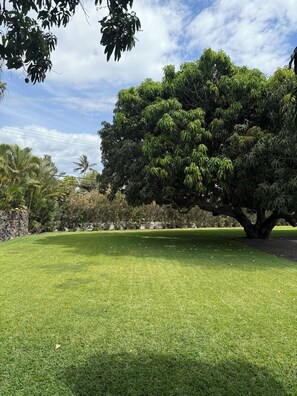 Property grounds - Private Cottage on an acre lot at Keawakapu Beach - This is island living! (Kihei)