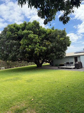Terrace/patio - Private Cottage on an acre lot at Keawakapu Beach - This is island living! (Kihei)