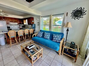 Televisión, reproductor de DVD, libros y videoteca 