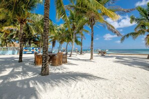 On the beach, sun-loungers, beach towels - Sunset Beach "A4" - Beachfront, Pool/Ocean View, Kayaks, Bikes, & More! 🏖 (San Pedro Town)