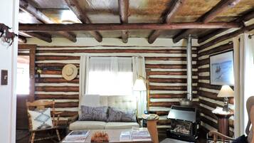 Smart TV, fireplace, DVD player, books