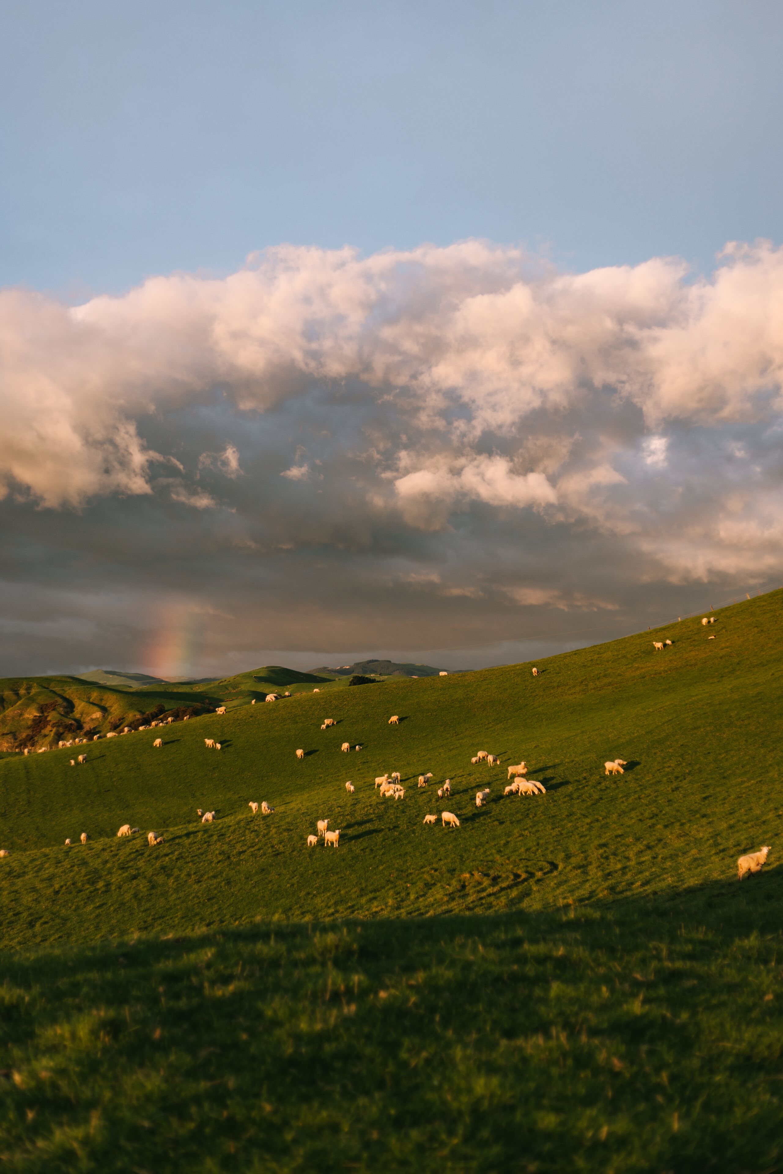 Een groene heuvel met schapen die grazen onder een bewolkte lucht.