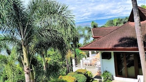 Un jardín tropical con palmeras y una casa con techo rojo y ventanas grandes.